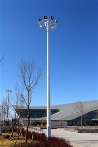 广州体育广场高杆灯工程案例
