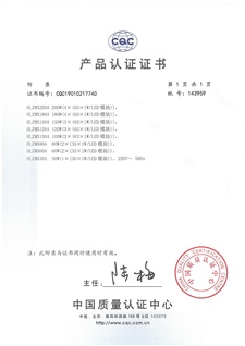 (1)